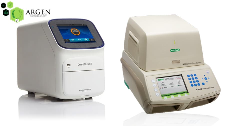 RT PCR Cihazları