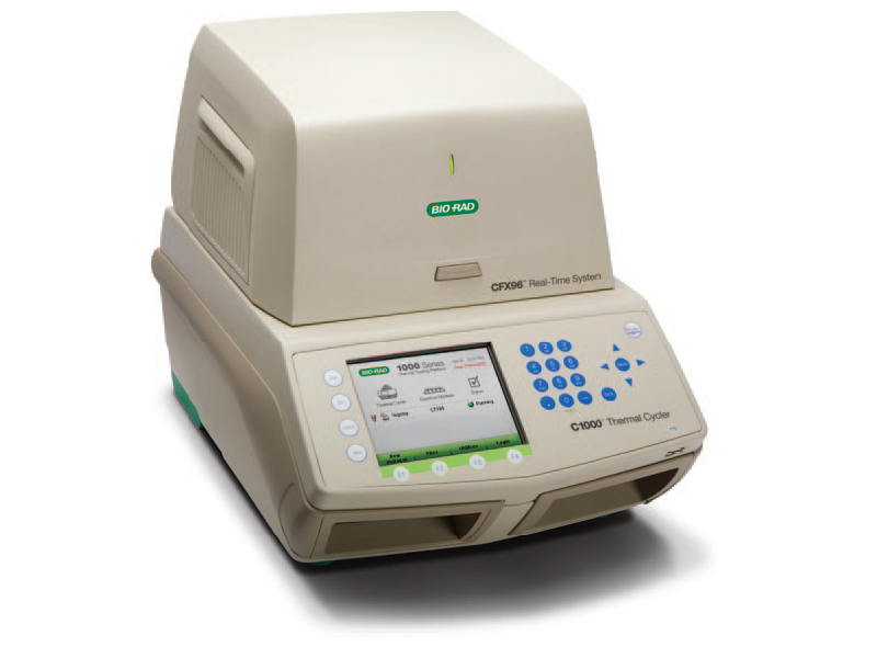 Biorad CFX96 RT PCR